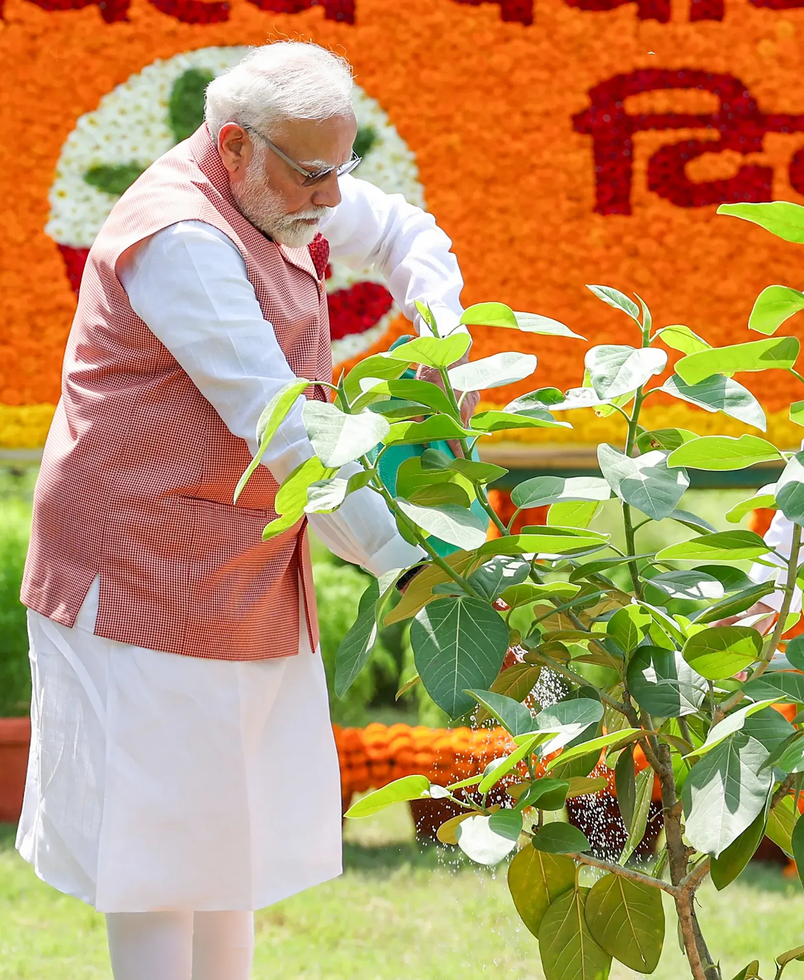 'एक पेड़ मां के नाम': मोदी की अपील — अहमदाबाद में 1 घंटे में 3.5 लाख पौधे, यूपी में 35 करोड़ रोपे गए