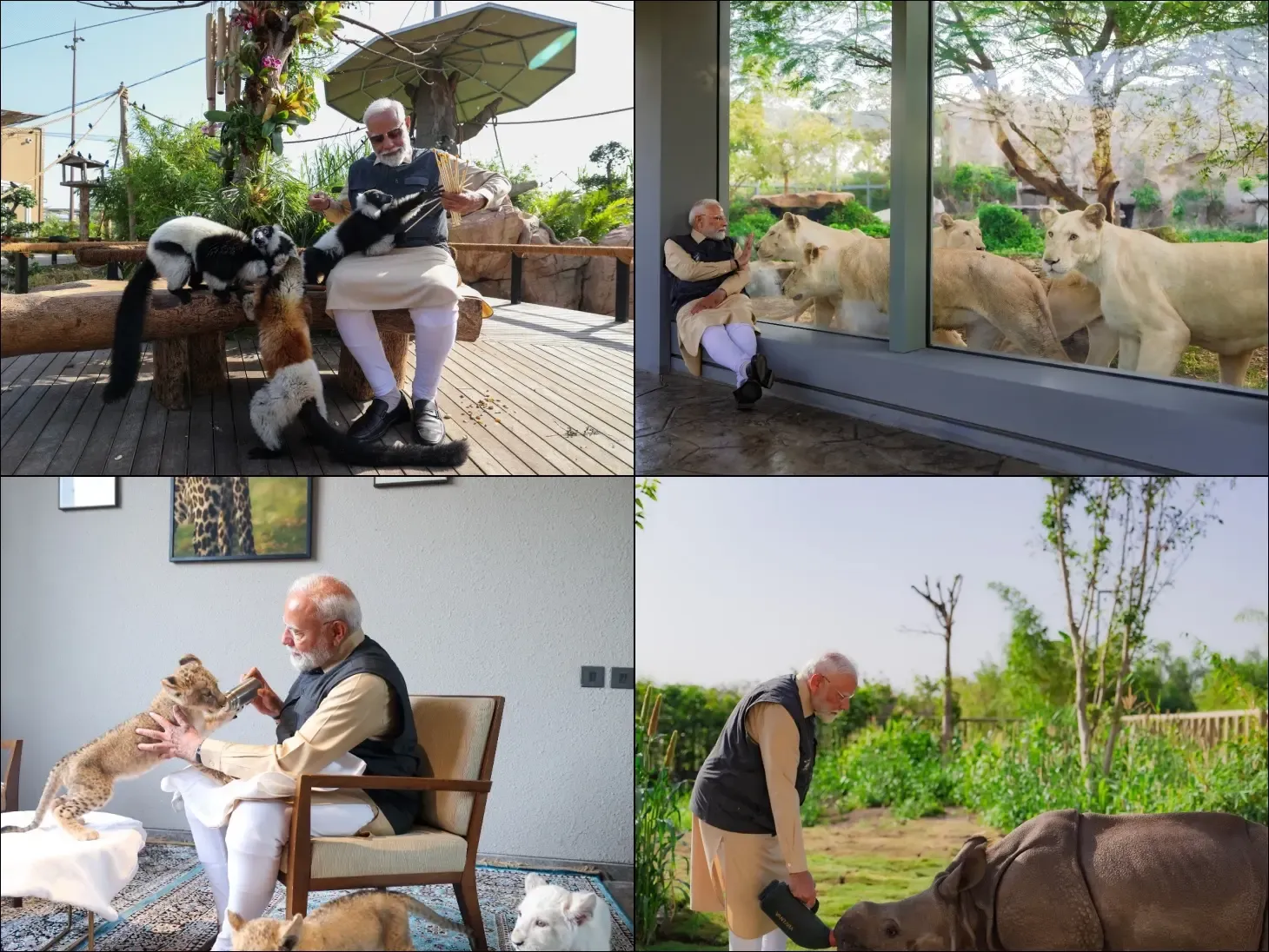 PM Modi's Deep-rooted Affection for Animals