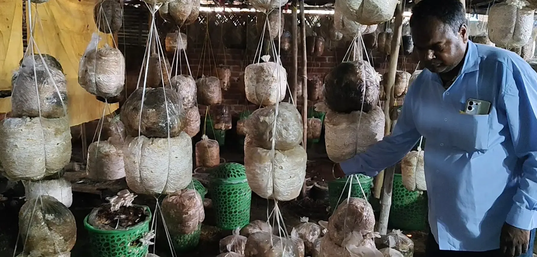 वीरू रजक: पीएमएफएमई योजना से मशरूम खेती में नई पहचान पाने वाले शेखपुरा के किसान