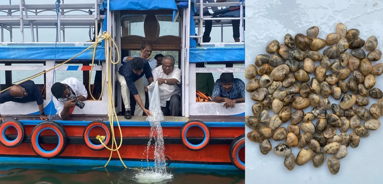 CMFRI Introduces Three Million Short Neck Clam Seeds to Kerala Lake for Stock Recovery