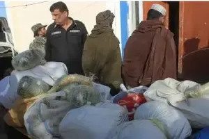 Afghan Authorities Seize 12 kg of Illegal Narcotics, One Arrested