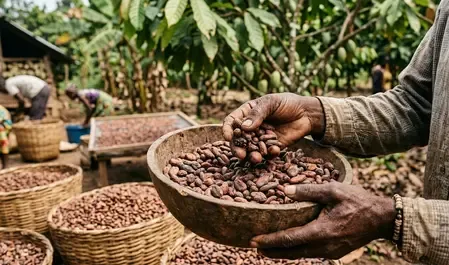 Policy framework, R&D and trade reforms needed to reduce India’s cocoa import: Industry leaders