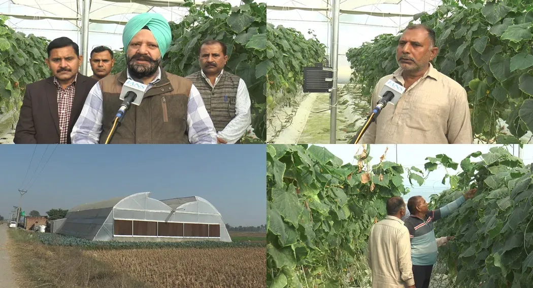 Revolutionizing Agriculture: Polyhouse Farming in Samba, J&K