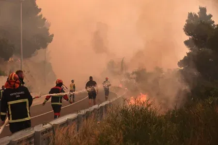 Portugal activates EU Civil Protection Mechanism amid extreme heat, wildfire risk