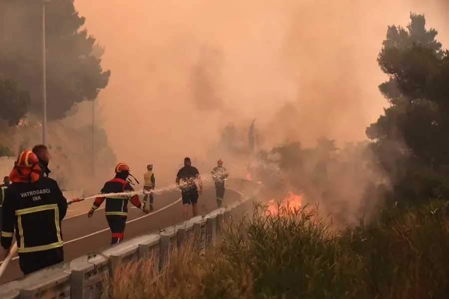 Why is Portugal Declaring a Wildfire Alert Amid Severe Heatwave?