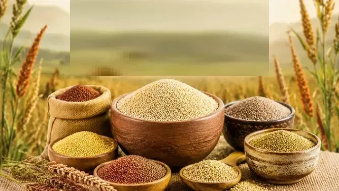 श्री अन्न: गर्मियों में वजन नियंत्रण, हड्डियों की मजबूती और ऊर्जा का प्राकृतिक स्रोत