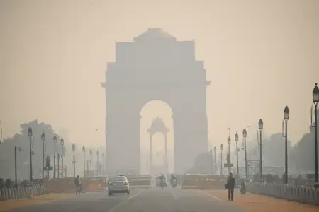प्रदूषण में सांस लेना हो रहा मुश्किल : इन चीजों को खाने में करें शामिल और बनाएं फेफड़ों को मजबूत 