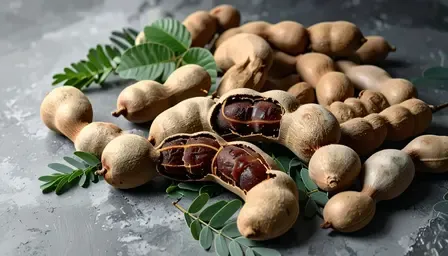 प्रकृति का तोहफा इमली: पेट की समस्याएं दूर कर वजन घटाने में कारगर, सेवन के जबरदस्त फायदे 