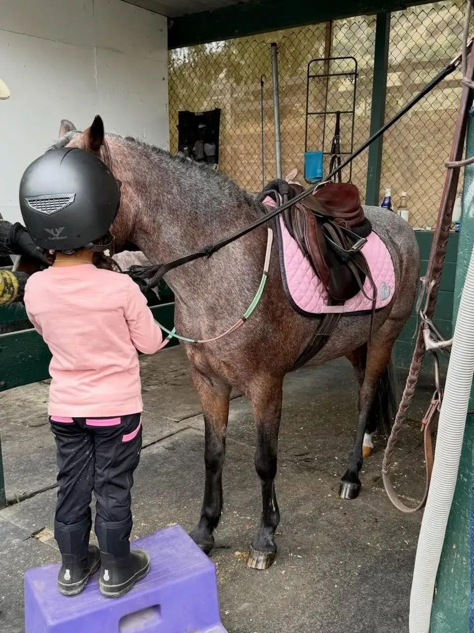 Priyanka Chopra shares Malti's horse encounter and Mother's Day card