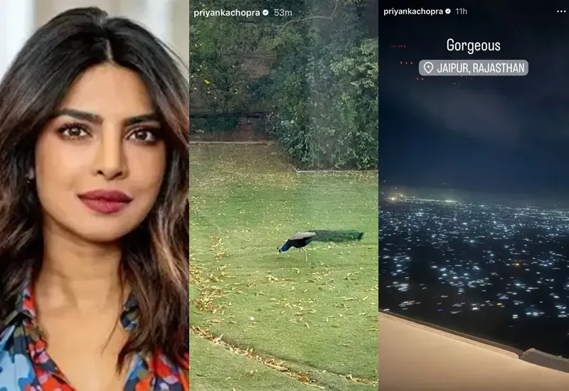 Priyanka Chopra Spotted in Jaipur with a New Feathered Friend