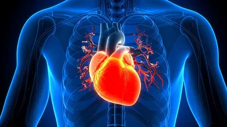 Cardiac scam at J&K's Anantnag GMC: 103 patients, false claims, extortion