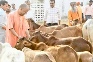 Cow protection is fundamental duty, say leaders backing Yogi's remarks