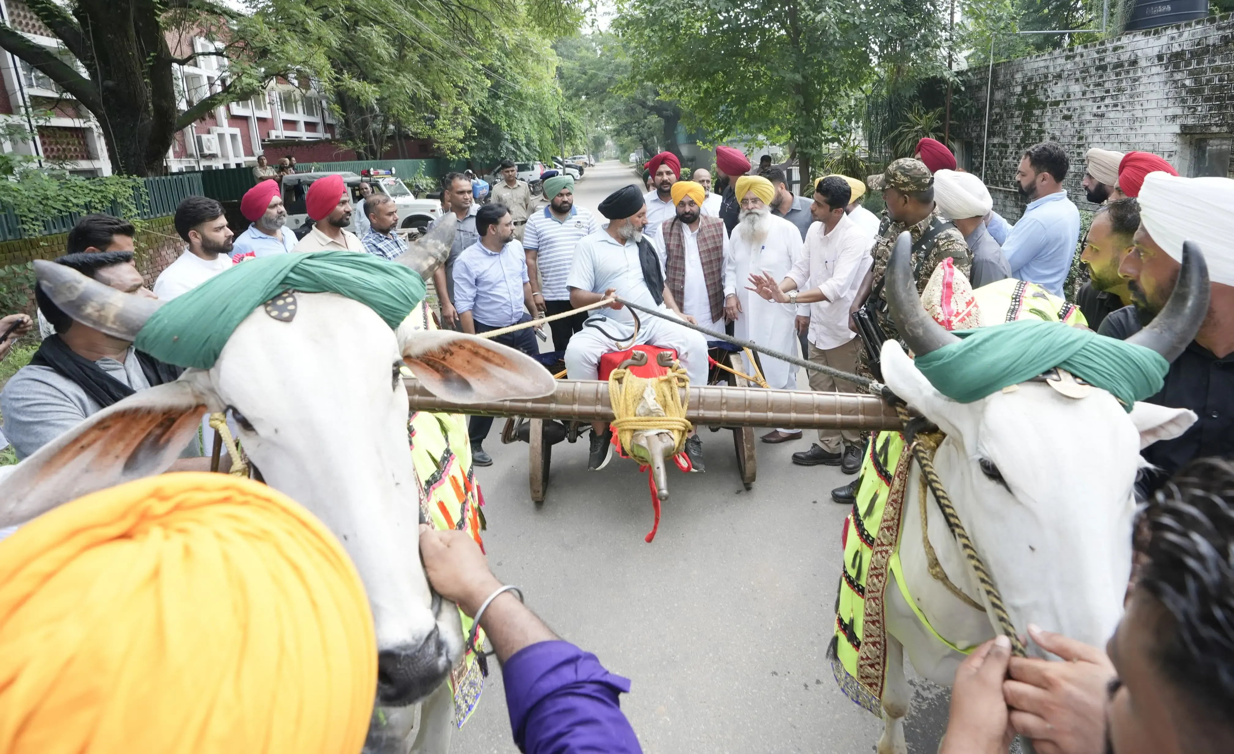 Did Punjab Assembly Just Greenlight Bullock Cart Races in Kila Raipur?