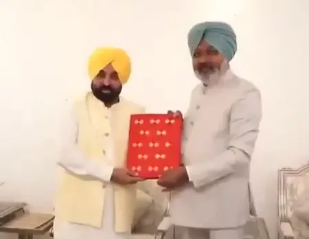 Punjab Budget: State to Conduct First Comprehensive Drug Census
