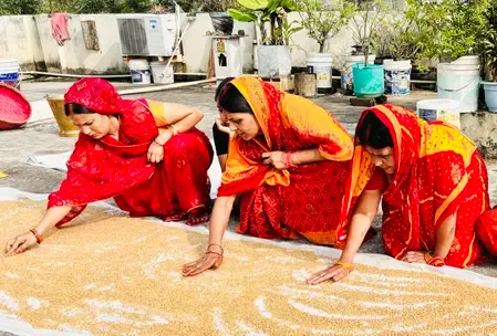 Punjab's Wheat Production Set to Reach 132 Lakh Metric Tonnes