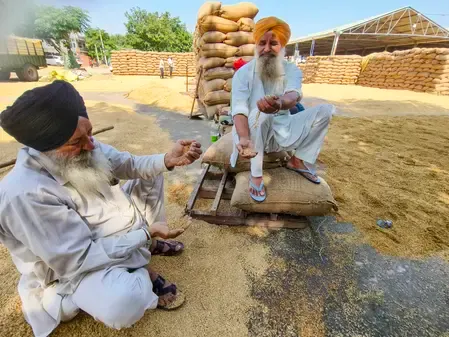 Punjab farmers helpline launched to curb stubble burning this harvest season