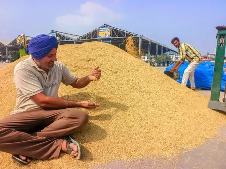 Punjab farmers buy 21,019 CRM machines this season to curb stubble burning