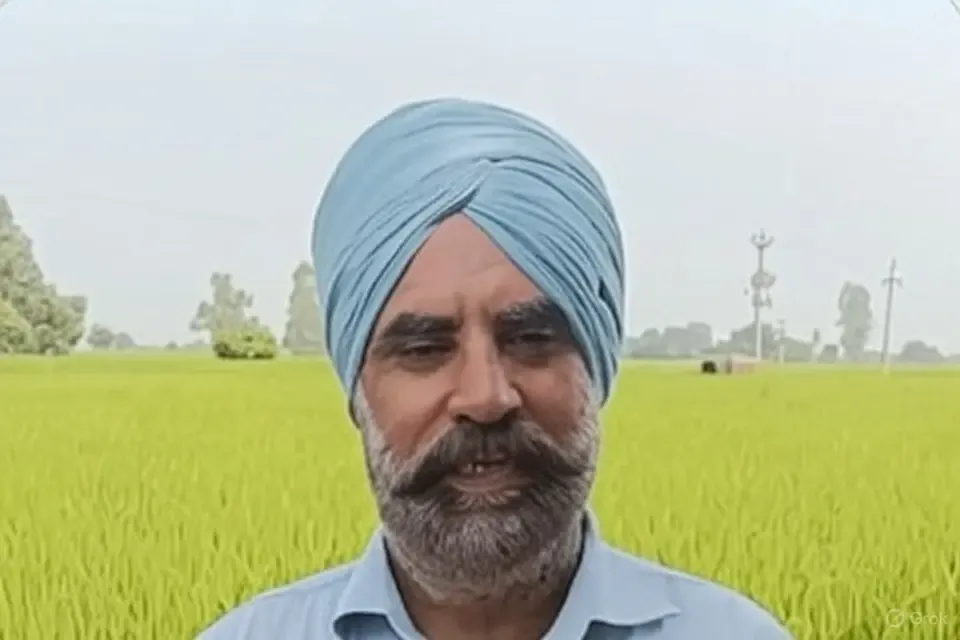क्या पंजाब के किसानों के लिए रबी फसलों की एमएसपी बढ़ोतरी फायदेमंद है?