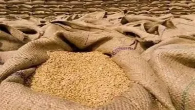 पंजाब में मंत्री समूह ने गेहूं खरीद सीजन 2026-27 के प्रबंधों की समीक्षा की