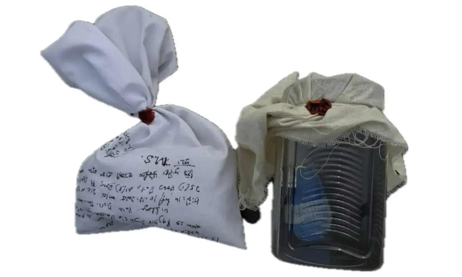 How Did Punjab Police Capture an Army Deserter Near the Nepal Border?