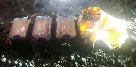 क्या पंजाब पुलिस ने मादक पदार्थों के खिलाफ बड़ी कार्रवाई की?