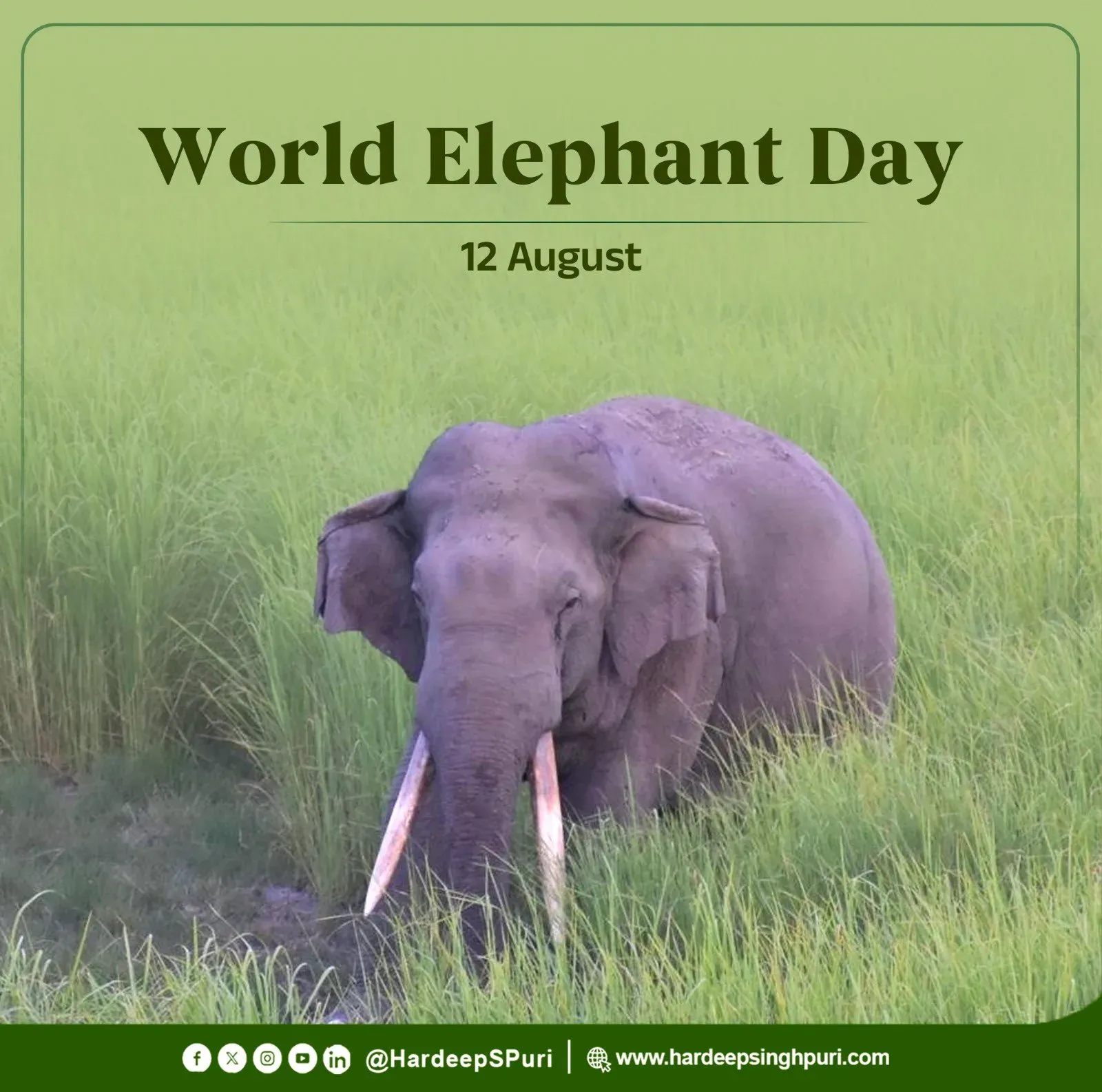 Puri reaffirms India's elephant conservation pledge on World Elephant Day