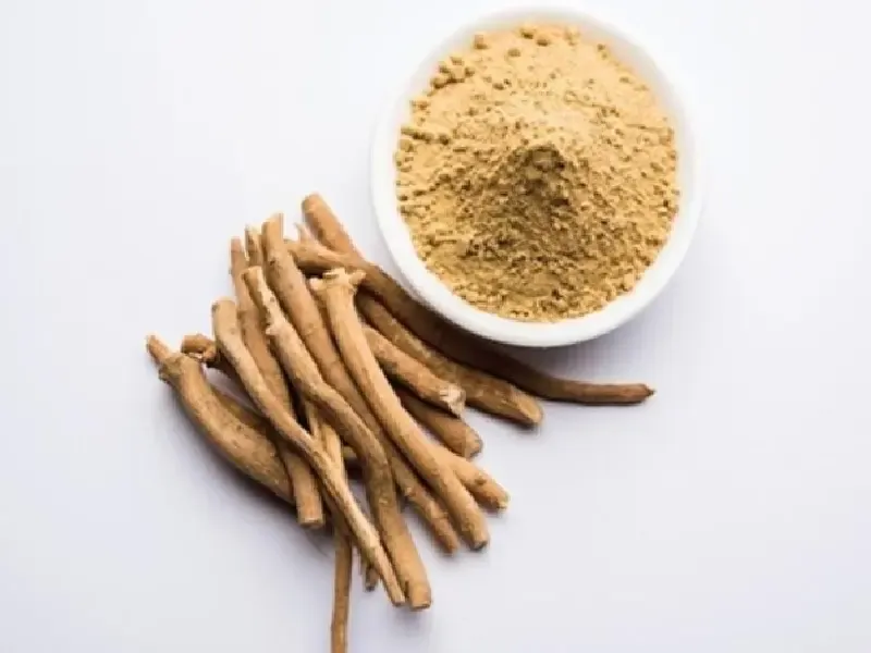 क्या सफेद मूसली पुरुषों की हर समस्या का समाधान है? जानें इसके फायदे