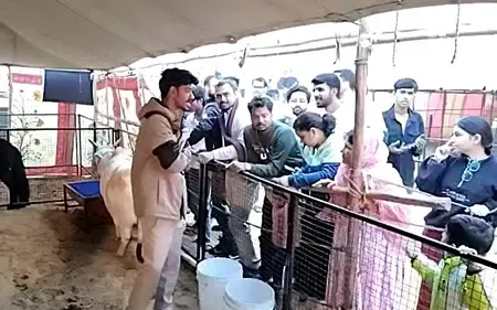 पुष्कर मेले में पुंगनूर नस्ल की गाय बनी आकर्षण का केंद्र