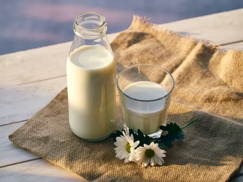 क्या रात का हेल्थ बूस्टर है दूध? जानें सर्दी में कैसे करता है स्वास्थ्य की पूरी देखभाल