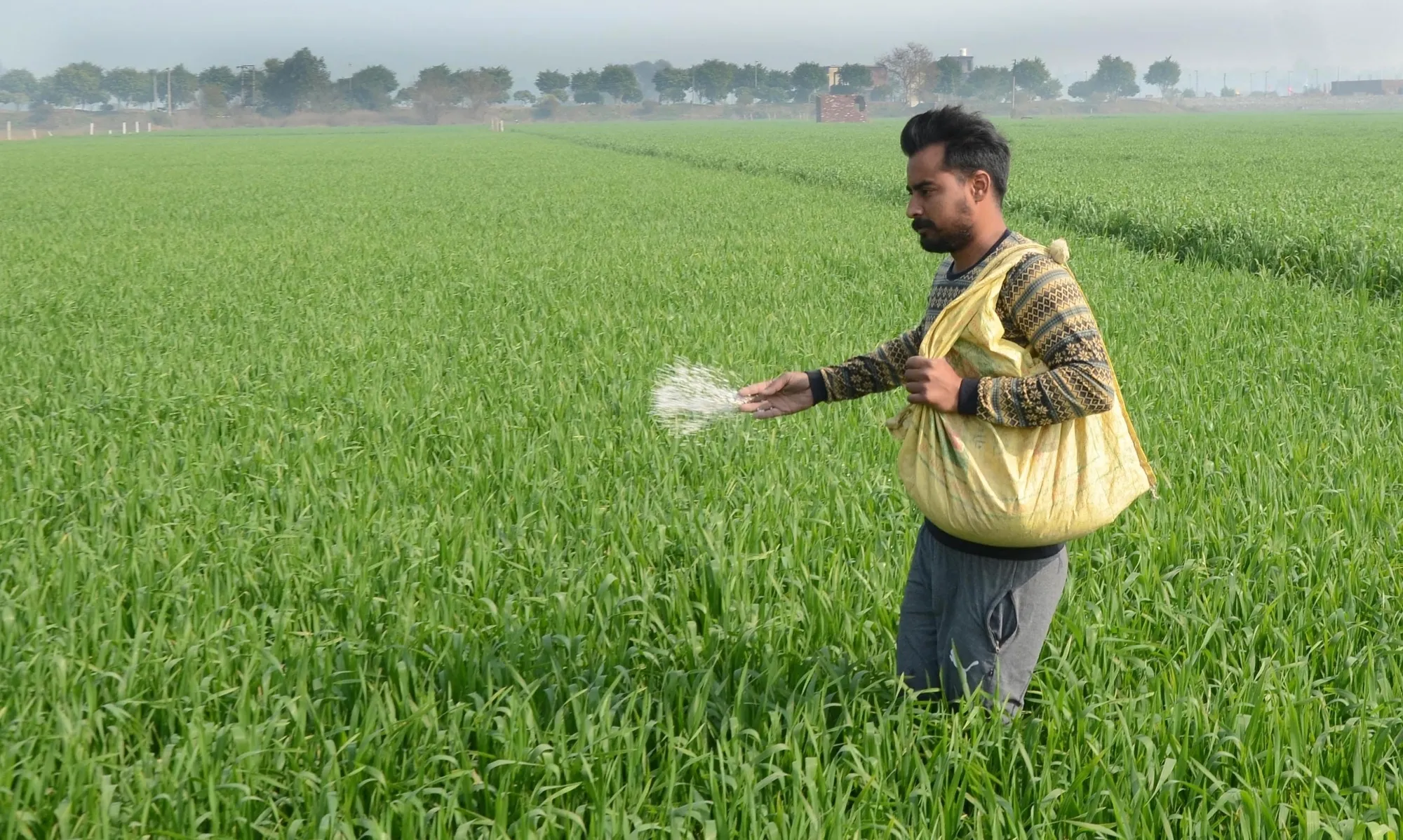 Has Rabi Crop Sowing Surpassed 536 Lakh Hectares?