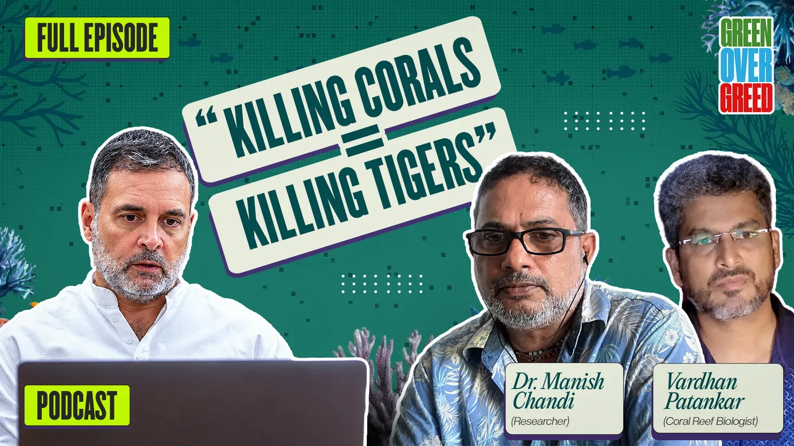 Rahul Gandhi raises Great Nicobar ecology alarm with experts