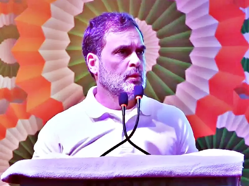 Rahul Gandhi Calls for Nationwide Caste Census; Challenges Dalit and OBC Representation in Power