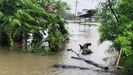 MP rains Day 3: Bhopal logs 7 inches, 10 rescued in Sehore as IMD warns of more