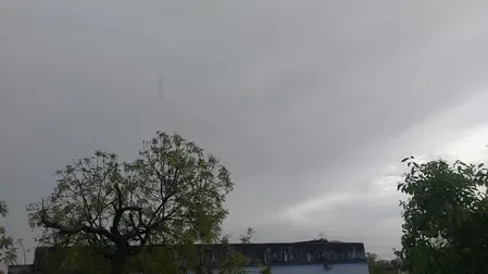 Fresh Weather System to Bring Rain and Hail to Rajasthan