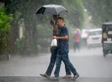 How Did Rain and Hailstorms Impact Several Districts of MP?
