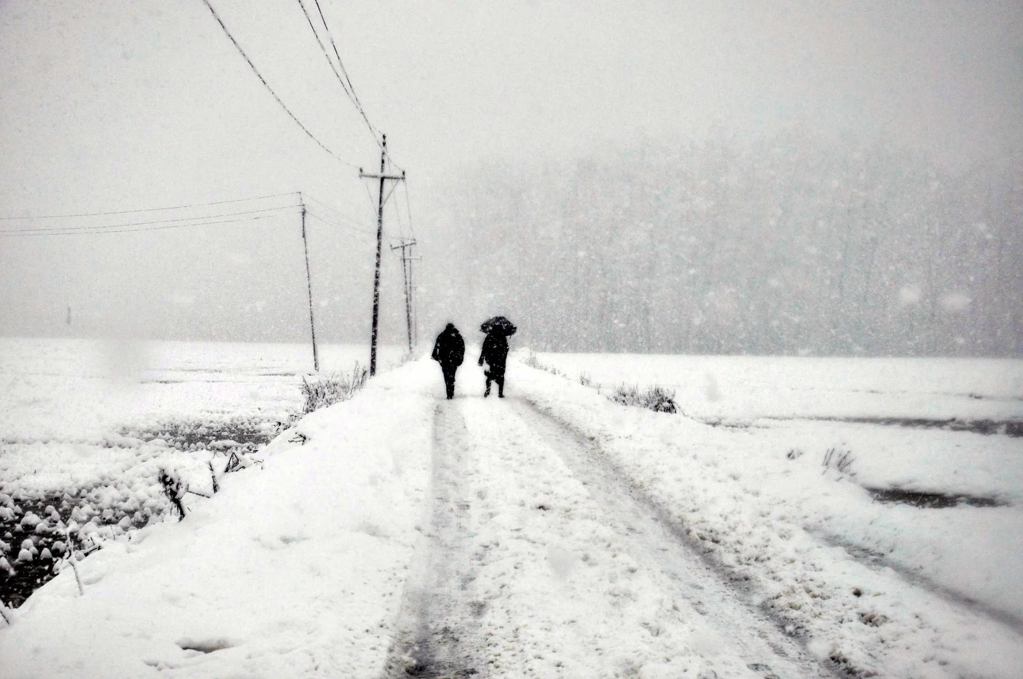 Heavy Rainfall Hits Jammu and Kashmir, Snowfall Recorded in Higher Elevations