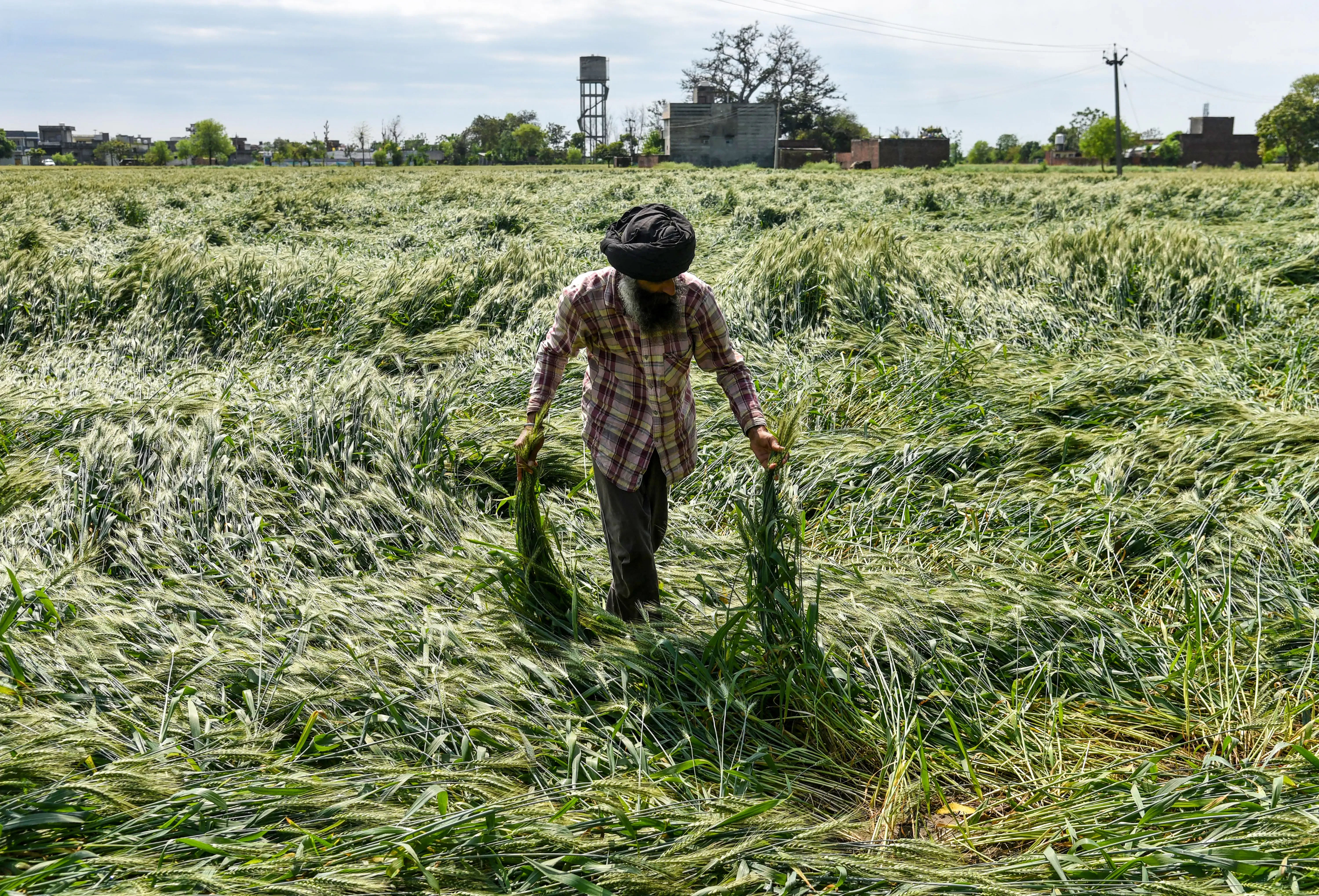 Rajasthan CM Urges District Collectors to Evaluate Crop Damage from Heavy Rains