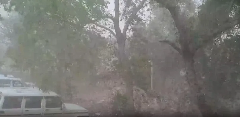 Is Rajasthan Ready for Strong Winds and Heavy Rainfall Today?