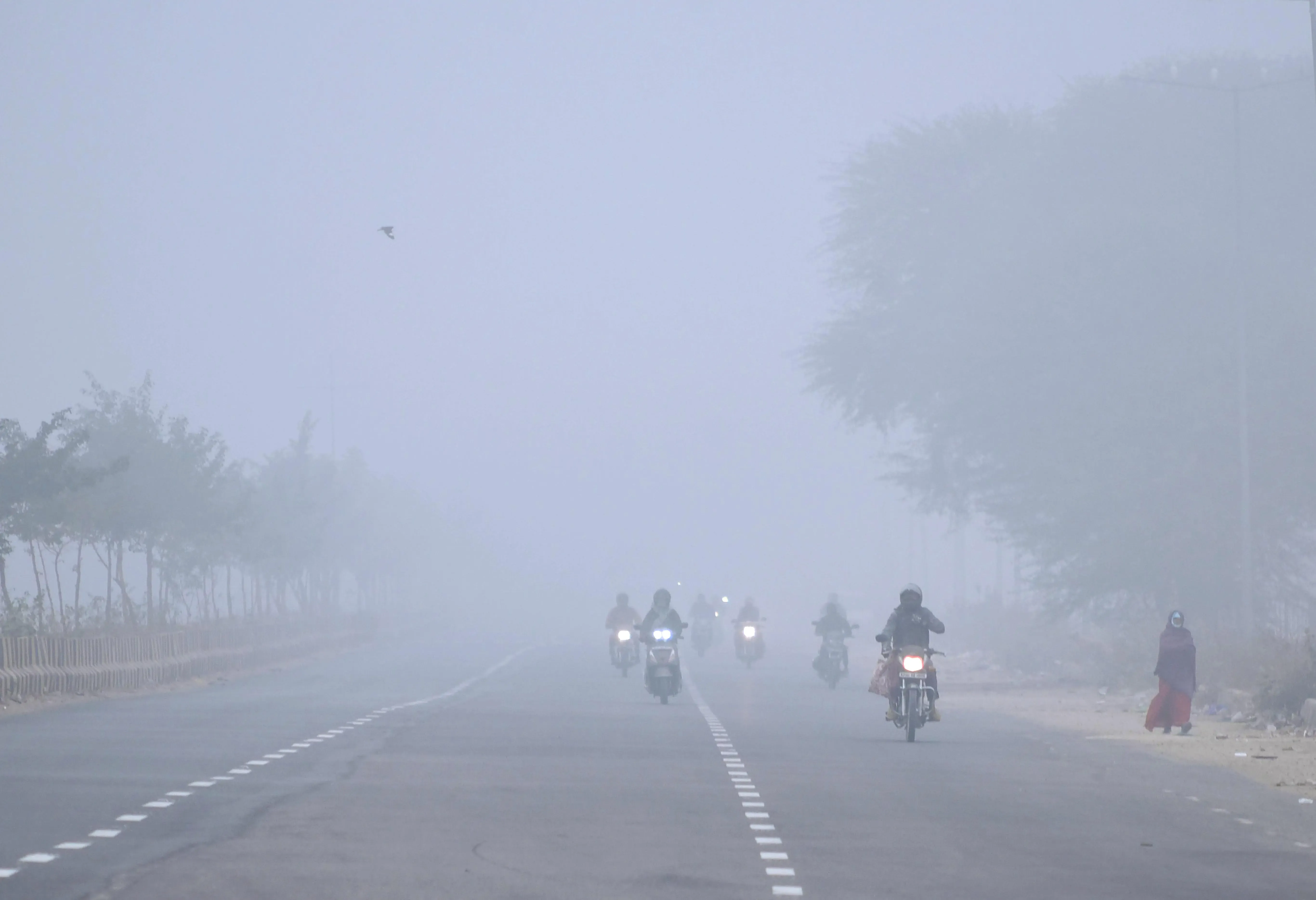 Rajasthan Experiencing Cold Wave as Intermittent Rain Hits the State