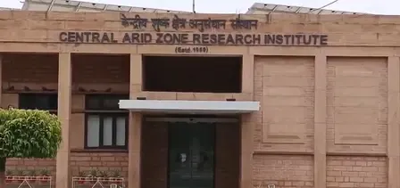 राजस्थान: जोधपुर के किसानों के लिए वरदान भगवा वैरायटी, कई गुना हो रही आमदनी