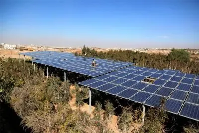 Rajasthan tops PM-KUSUM with 5.57 GW solar, 3.78 lakh farmers benefit