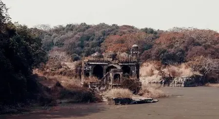 Are Mobile Phones Now Prohibited During Ranthambore Safari?