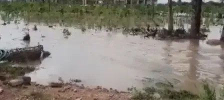 What Actions Has the NGT Taken to Safeguard Water Bodies in Bhilwara?