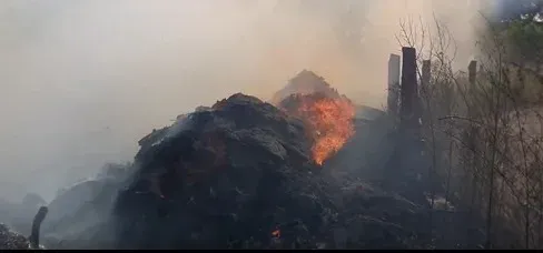 धौलपुर में शॉर्ट सर्किट से भीषण आग: तीन परिवारों का 40 क्विंटल गेहूं, घर-गृहस्थी राख