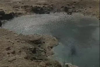 Rajkot uses drones and AI to map 4,731 mosquito breeding sites