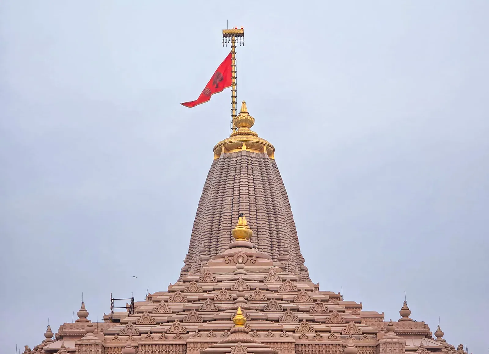 Ram Mandir donation row: SIT submits initial findings, final report due soon