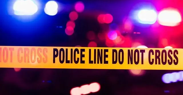 Ramaswamy Expresses Support for Wayne County Police After Officer Incident