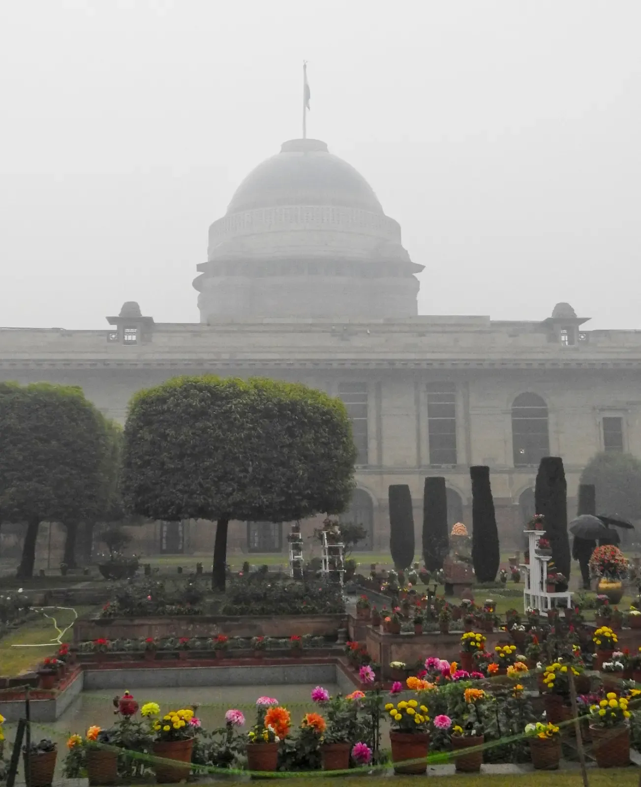 Rashtrapati Bhavan's Amrit Udyan to Welcome Visitors Starting February 2