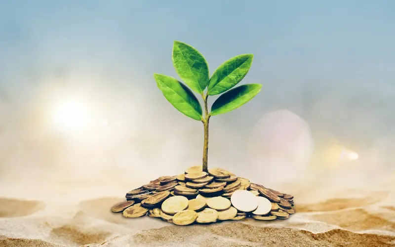 RBI to Broaden Co-Lending Scope to Boost Credit Access