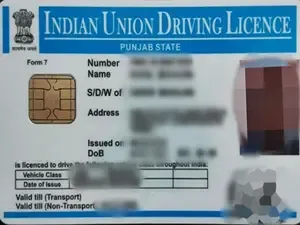 Call for Resumption of Driving Licence Issuance in Punjab by National Road Safety Council Member
